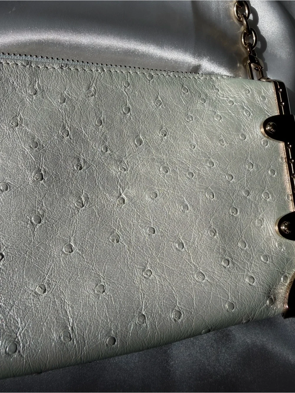 Louis Vuitton Iridescent Ostrich Leather Bag with Gold Chain & Crossbody Strap